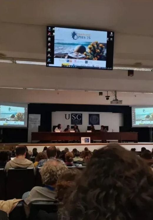 ISCE Douro participa no I Congreso Internacional, Profesional e Interuniversitario de Educación Social — foto 16