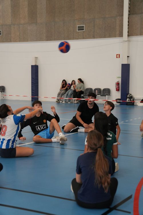 ISCE Douro dinamizou aula prática de Voleibol Sentado na ProfEnsino Foto 1