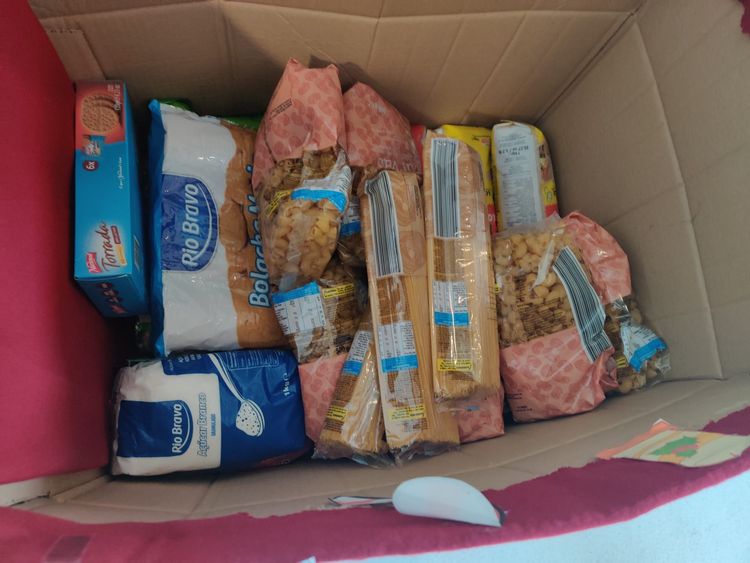 ISCE Douro promove ação solidária com voluntários  — foto 3