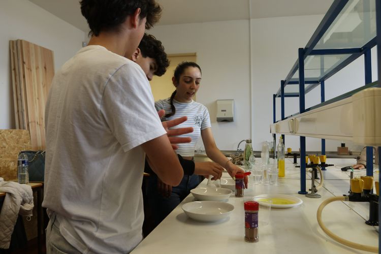 ISCE Júnior regressou ao ISCE Douro — foto 2