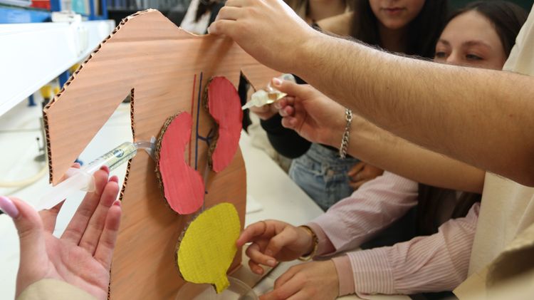 ISCE Júnior regressou ao ISCE Douro — foto 6