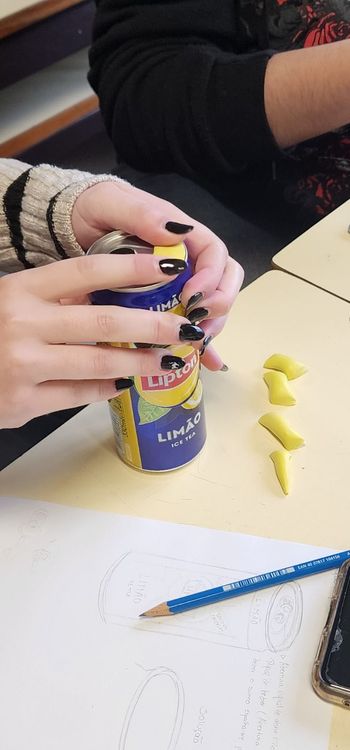 ISCE Douro dinamizou workshop de Design Sustentável no Agrupamento de Escolas Joaquim Araújo — foto 5