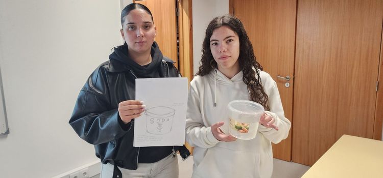 ISCE Douro dinamizou workshop de Design Sustentável no Agrupamento de Escolas Joaquim Araújo — foto 7