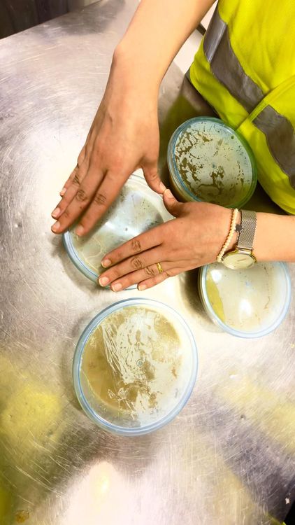 ISCE Douro reforça compromisso com o voluntariado — foto 5