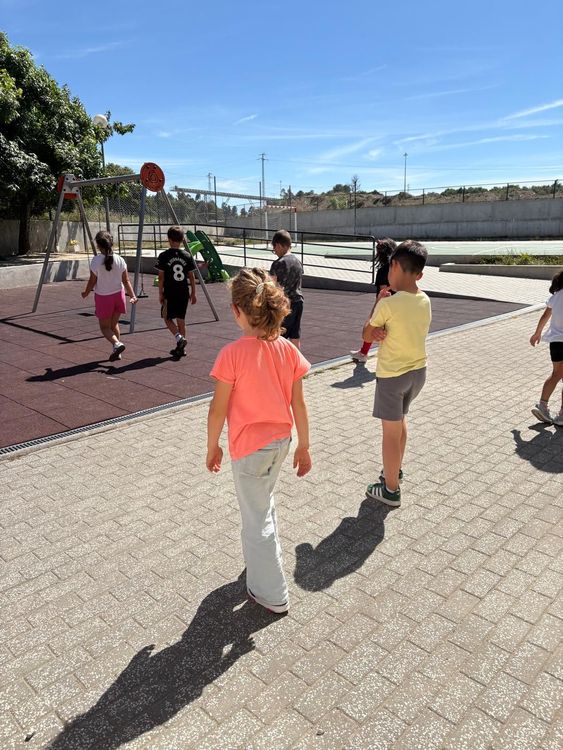 Aprender a ensinar: estudantes de mestrado desenvolvem aulas de Educação Física — foto 12