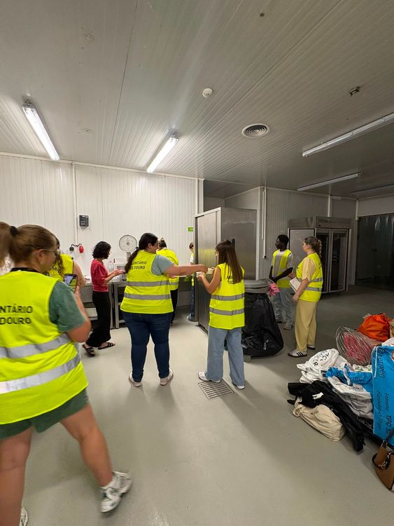 ISCE Douro promove nova ação de voluntariado em parceria com a Fundação Alberto Canedo — foto 7