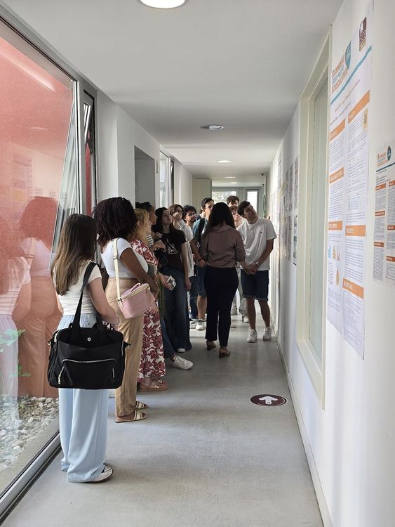 ISCE Douro promoveu as III Jornadas de Boas Práticas Socioeducativas — foto 28