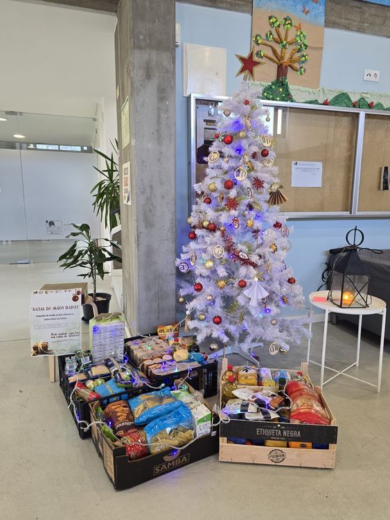 ISCE Douro entrega bens recolhidos na Campanha "Natal de Mãos Dadas" Foto 5