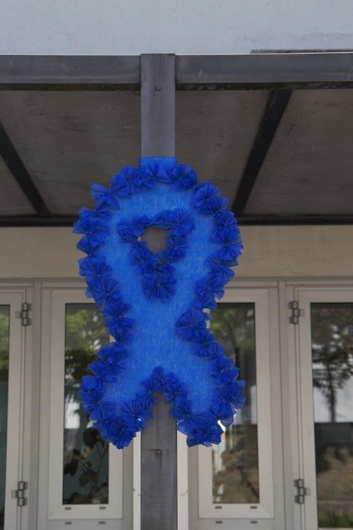 ISCE Douro assinala o Mês da Prevenção dos Maus-Tratos na Infância e Juventude — foto 7